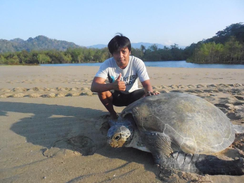 Banyuwangi *